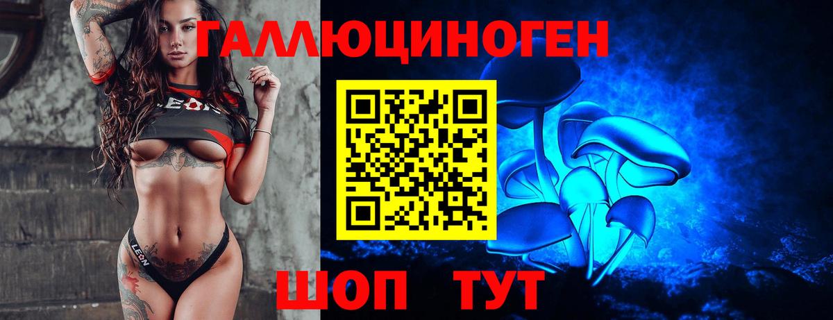 Котлас  Псилоцибиновые грибы ЛСД  Вход с VPN 