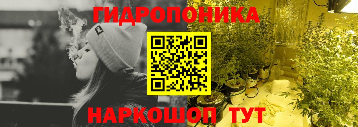 МАРИХУАНА план Котлас